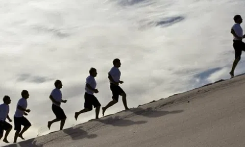 6 công ty chứng khoán đầu tiên thị trường giờ ra sao?