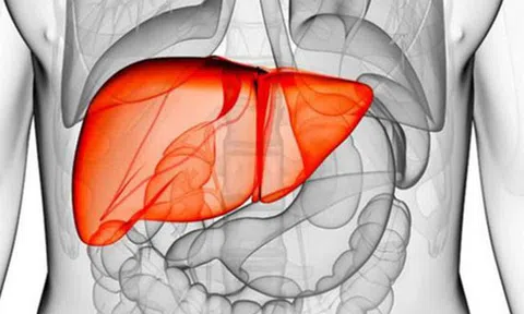 5 thói quen tại hại, cực nhiều người làm mỗi ngày, khiến gan bị "ngược đãi" nghiêm trọng: Đây cũng là lý do xơ gan, ung thư gan gia tăng