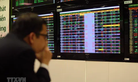 Góc nhìn: Cú sập chứng khoán Việt và lịch sử có lặp lại?