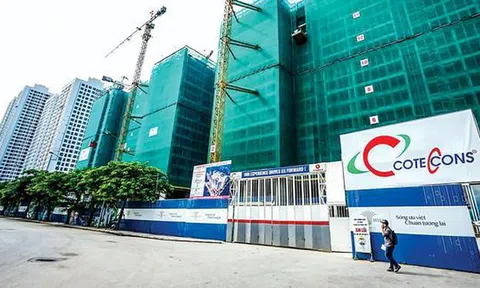 Coteccons chưa hết sóng gió