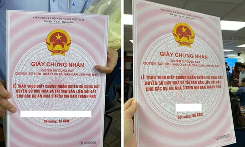 Tại sao 11 dự án của Novaland vẫn bị TP.HCM “giam” sổ hồng?