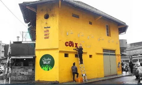 Chủ tiệm bánh mỳ Cối Xay Gió chỉ lãi vài chục triệu mỗi năm dù sở hữu loạt thương hiệu có tiếng tại Đà Lạt