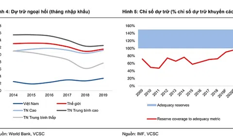 Bị gán mác thao túng tiền tệ, Việt Nam cần hành động ra sao?