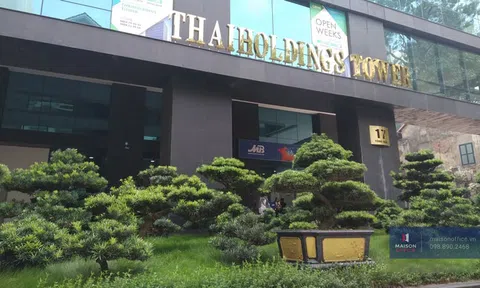 Thaiholdings: Từ cổ phiếu vô danh đến 'kẻ dẫn dắt' sàn chứng khoán Hà Nội