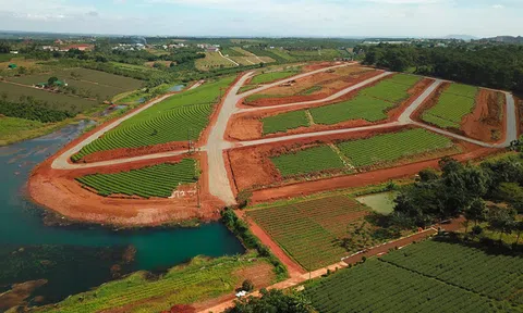 Dự án lậu xẻ nát đồi chè Bảo Lộc