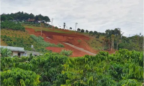 Nhà đầu tư vỡ mộng làm giàu ở thị trường bất động sản Bảo Lộc