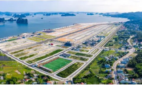 'Mạnh' như Phương Đông - chủ dự án lấn biển 16.000m2 ở Vân Đồn