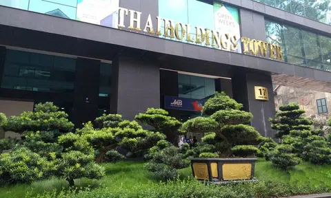 'Siêu cổ phiếu' THD và ẩn số LienVietPostBank