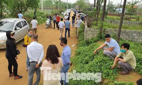 Đủ chiêu trò bán đất rừng, đất ruộng... trong cơn sốt đất quay cuồng