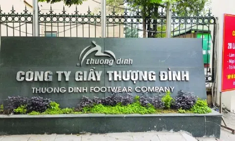 Thương hiệu giày ‘vang bóng một thời’ lỗ 4 năm liên tiếp