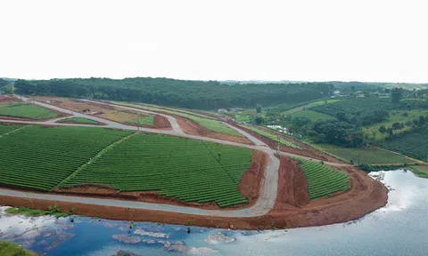 Lâm Đồng mạnh tay ngăn chặn các “dự án“ phân lô kiểu Alibaba