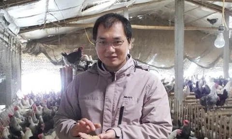 Thạc sĩ nước ngoài về quê “xúc phân gà”, kiếm tiền tỷ mỗi năm