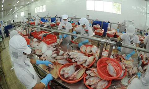 Một công ty thủy sản lỗ gần 1.000 tỷ, nợ Sacombank hơn 950 tỷ đồng