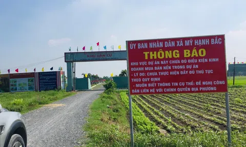 Long An: Bí thư xã Mỹ Hạnh Bắc có gây khó dễ cho doanh nghiệp?