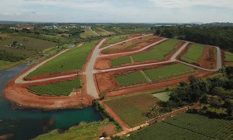 Tạm đình chỉ 3 cán bộ TP Bảo Lộc liên quan 'hiến đất mở đường' rầm rộ